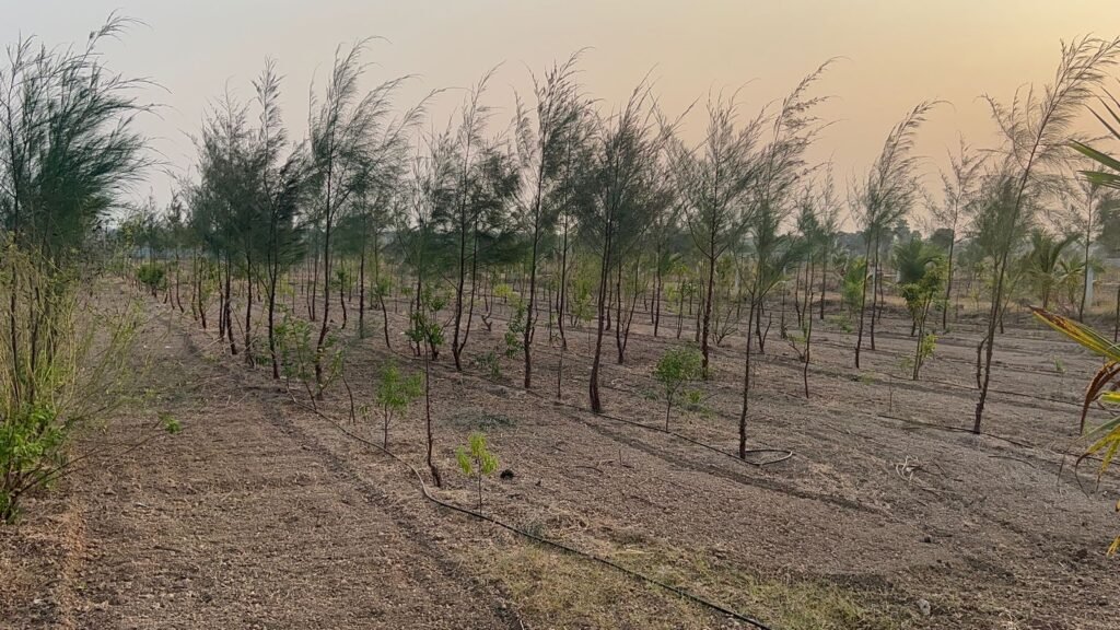 WhatsApp Image 2025 02 13 At 9.46.06 AM 1024x576