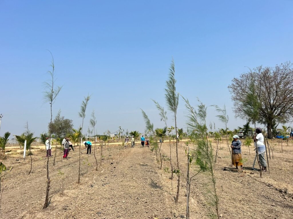 WhatsApp Image 2025 02 13 At 9.46.06 AM 2 1024x768