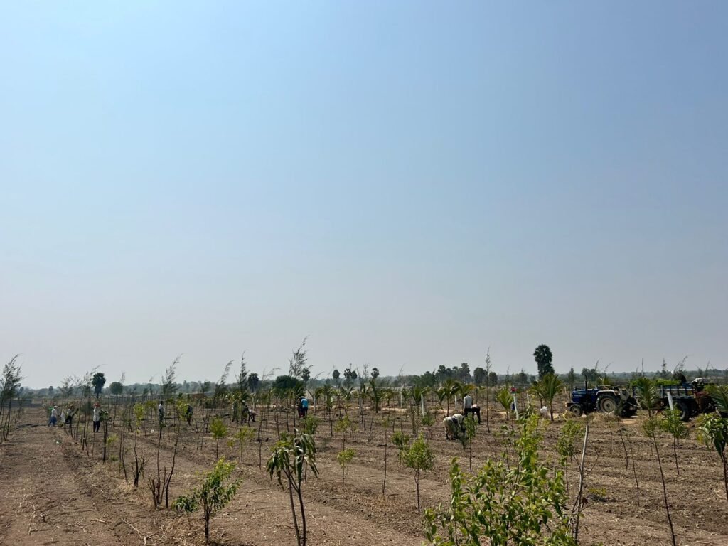 WhatsApp Image 2025 02 13 At 9.46.07 AM 1024x768